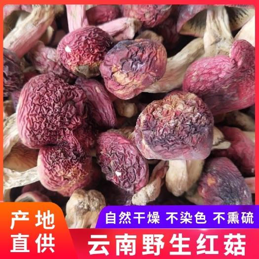 云南野生红菇，一级红菇