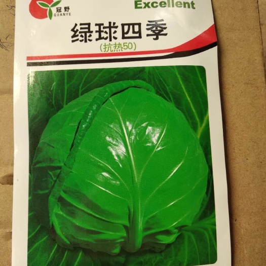 绿甘蓝种子 抗热50天,甘蓝品种,绿球四季