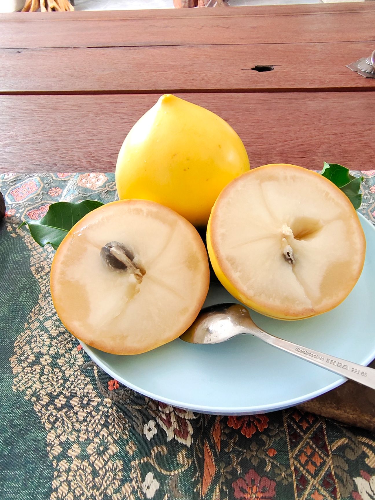 黄晶果树