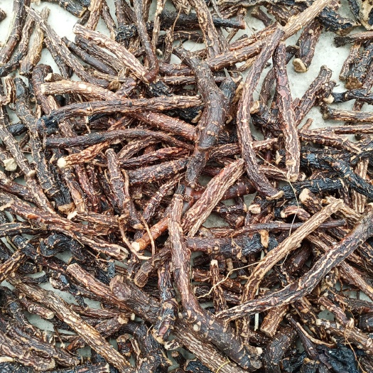 亳州 大量收购白芍鲜货干活点地块