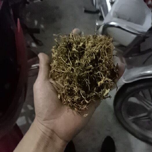屏山县 金银花