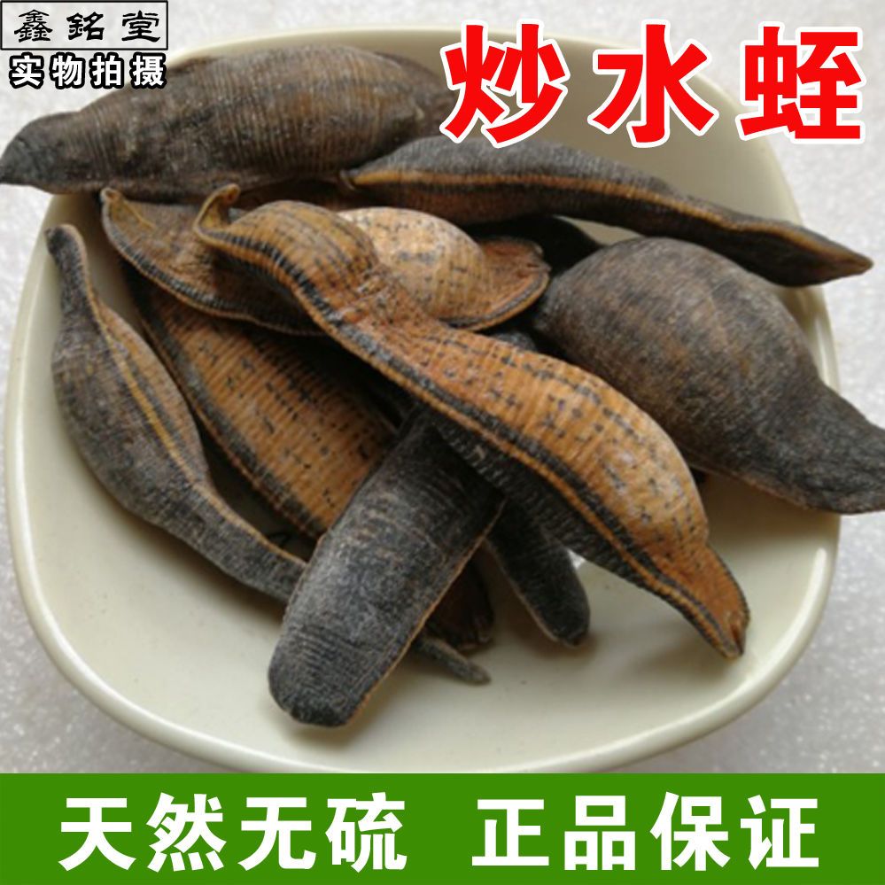 熟水蛭 炙水蛭 炒水蛭 烫水蛭干 制水至中药材蚂蝗正品