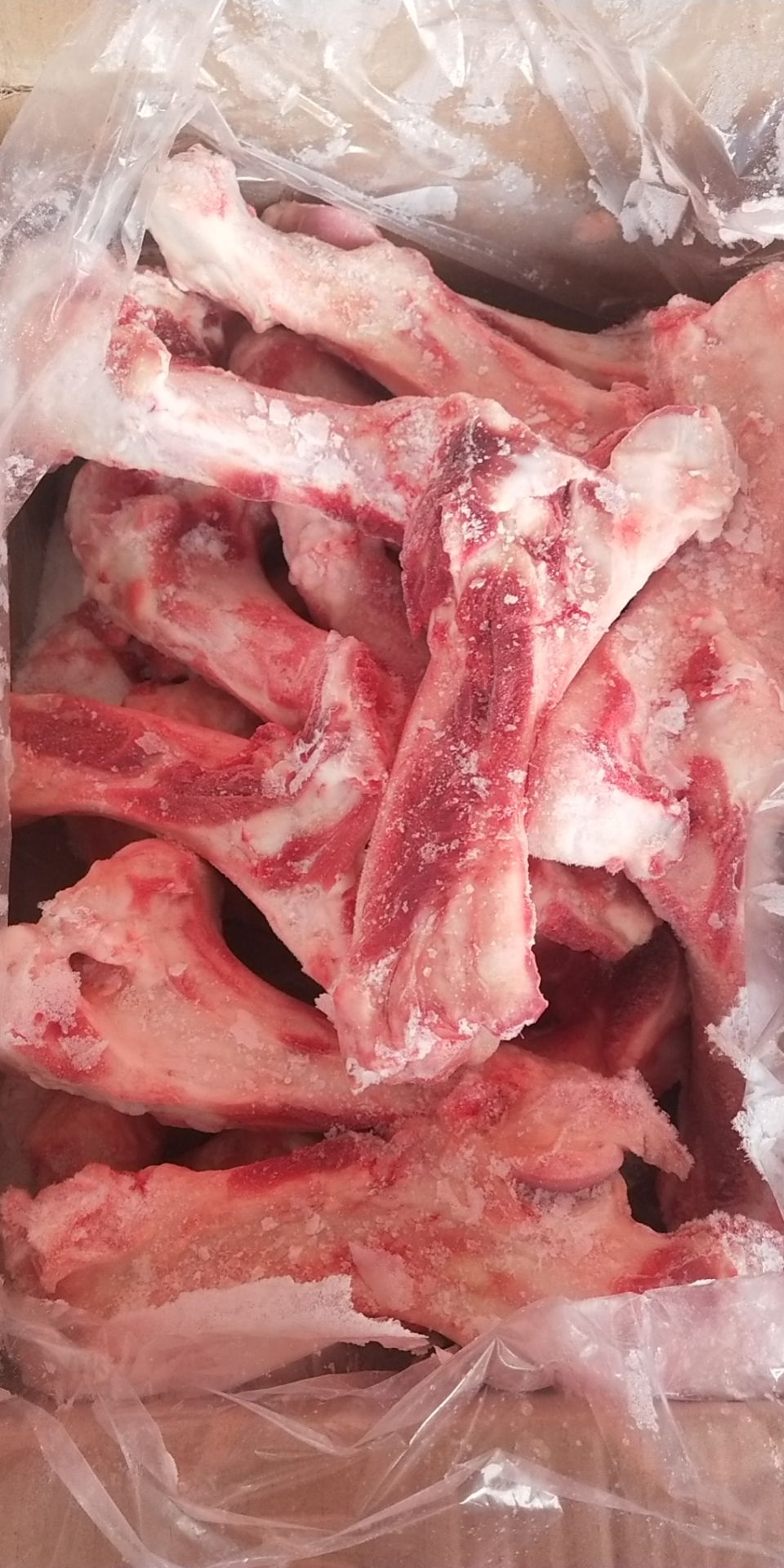 猪骨头  前后母猪腿骨