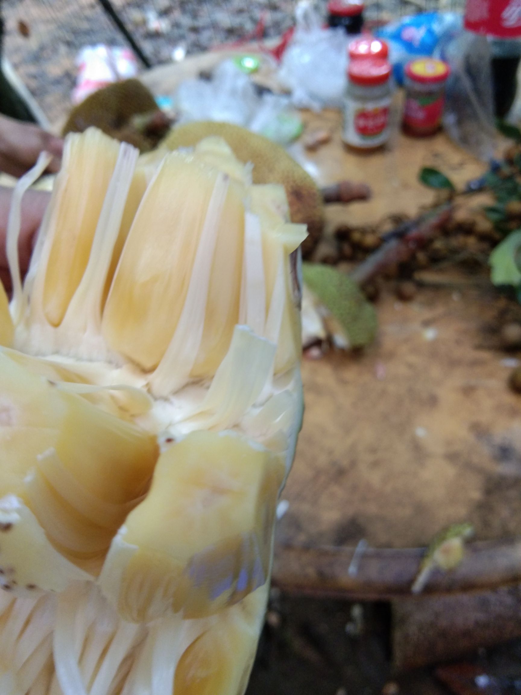 菠萝蜜，广东，口感清甜，果肉饱满。