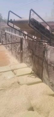 小麦秸秆  麦壳，牛羊饲料，精品麦壳，长年供应，质量保证