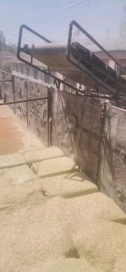 宝鸡小麦秸秆  麦壳，牛羊饲料，精品麦壳，长年供应，质量保证
