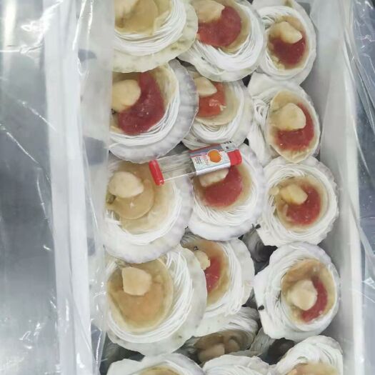 沈阳夏怡贝粉丝 接受定制，贴牌加工
