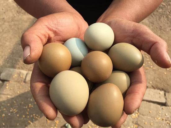  农村散养土鸡蛋柴鸡蛋笨鸡蛋乌鸡蛋质检放心蛋30枚/箱