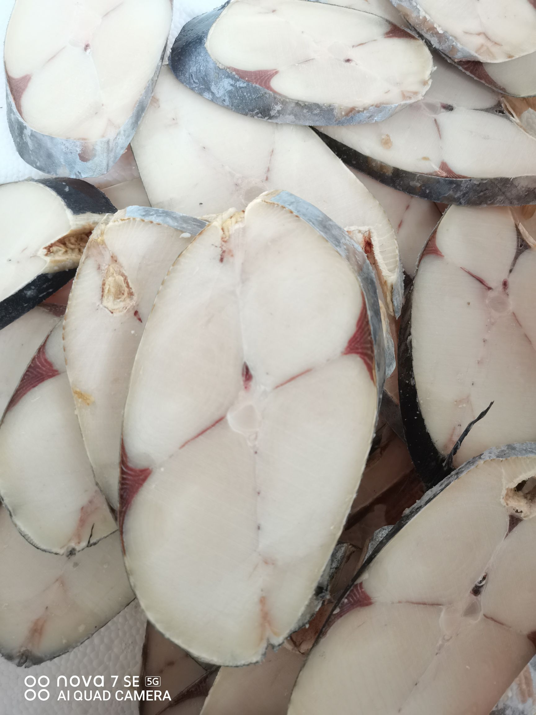  马鲛鱼，整条现切，现做，一斤装适合各种酒店社区团购，生鲜电商