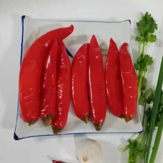 泡美人椒