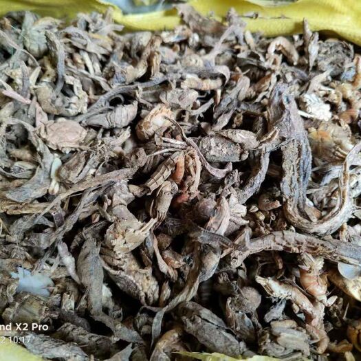海兴县饲料鱼 饲料级小杂鱼鱼干