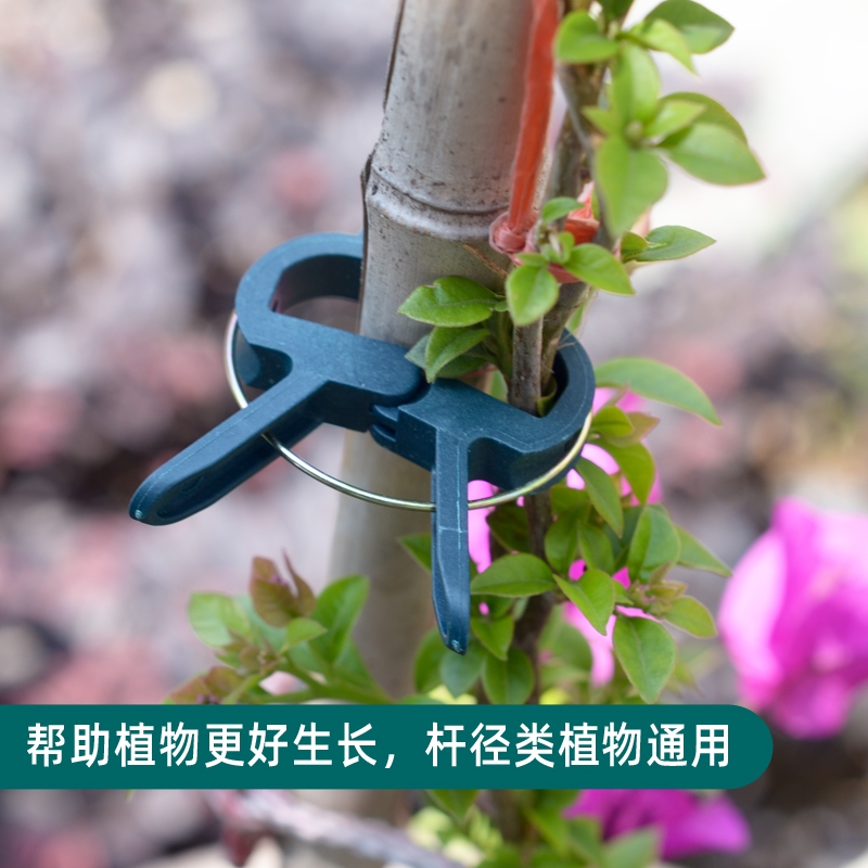 绑蔓夹 园艺夹子番茄黄瓜枝条固定夹蝴蝶兰造型夹园艺花卉爬藤植