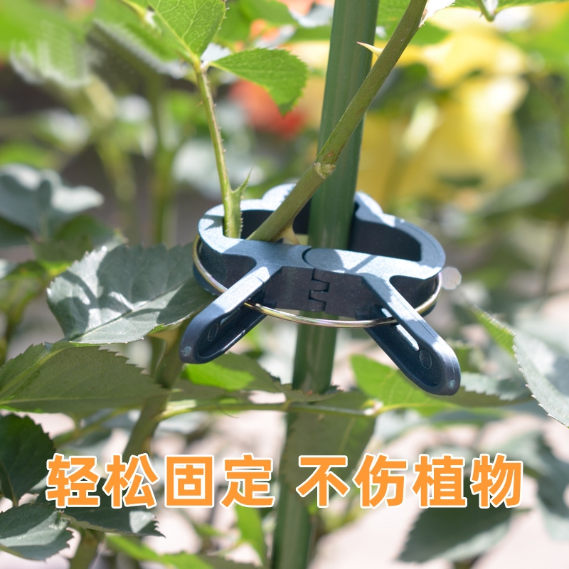 绑蔓夹 园艺夹子番茄黄瓜枝条固定夹蝴蝶兰造型夹园艺花卉爬藤植