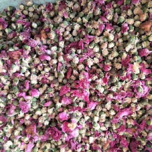 食用玫瑰  平阴玫瑰花托