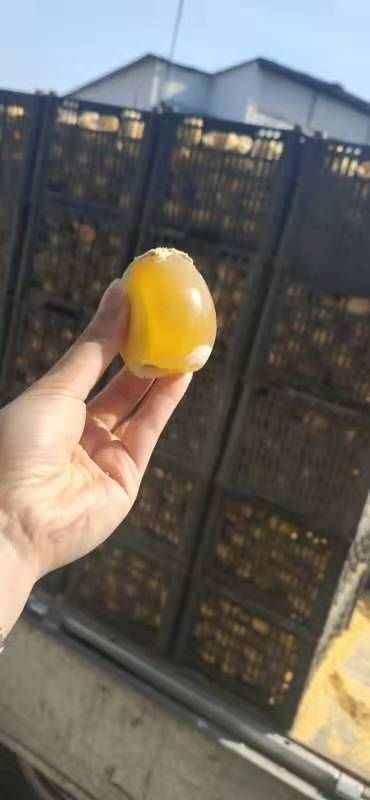成都松花皮蛋  皮蛋 无铅松花蛋 赶集松花蛋 精辟松花蛋
