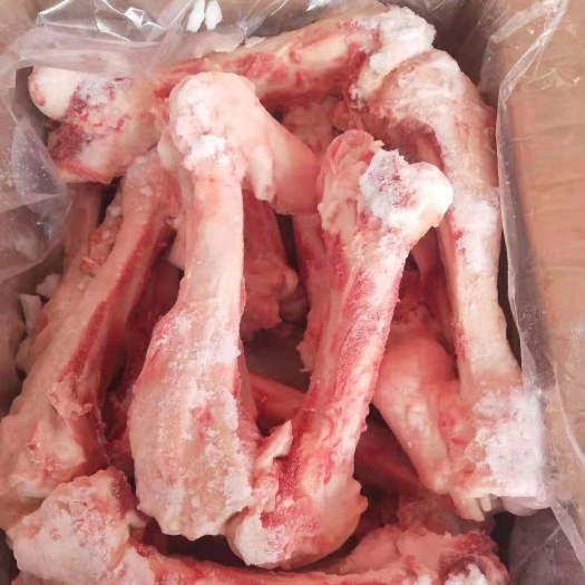 猪骨头  前后母猪腿骨