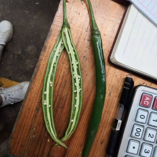 南宁 线椒