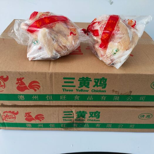 平原县鸡肉  三黄鸡