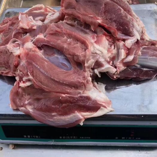 郑州羊腿肉  纯干羊后腿肉，一个腿一个独立包装，品质新鲜质量稳定，原拍实图