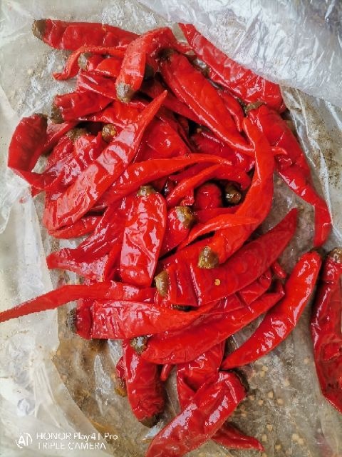 天津牛角椒  泡二荆条，品种津红，编织袋，带内衬，协助找车，工人上车迅速