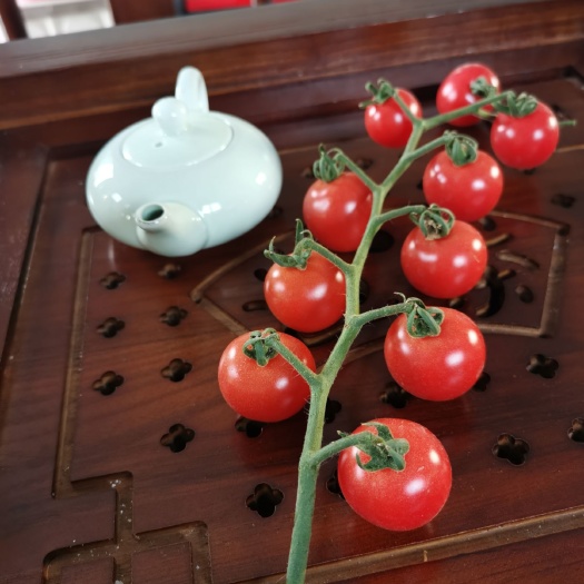 德清县小番茄 小蕃茄，黄妃，樱粉1号