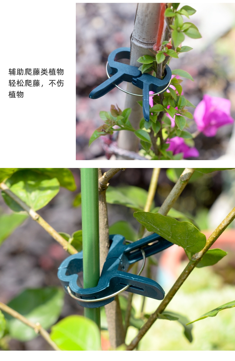 绑蔓夹 园艺夹子番茄黄瓜枝条固定夹蝴蝶兰造型夹园艺花卉爬藤植