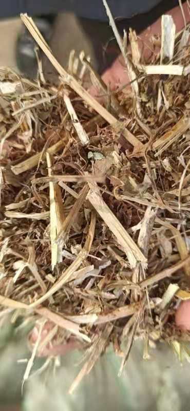 正阳县袋装花生秧