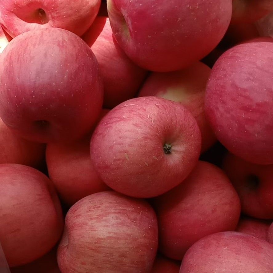  【促销】苹果 红富士苹果 产地直销 清库处理 条纹片红水晶富