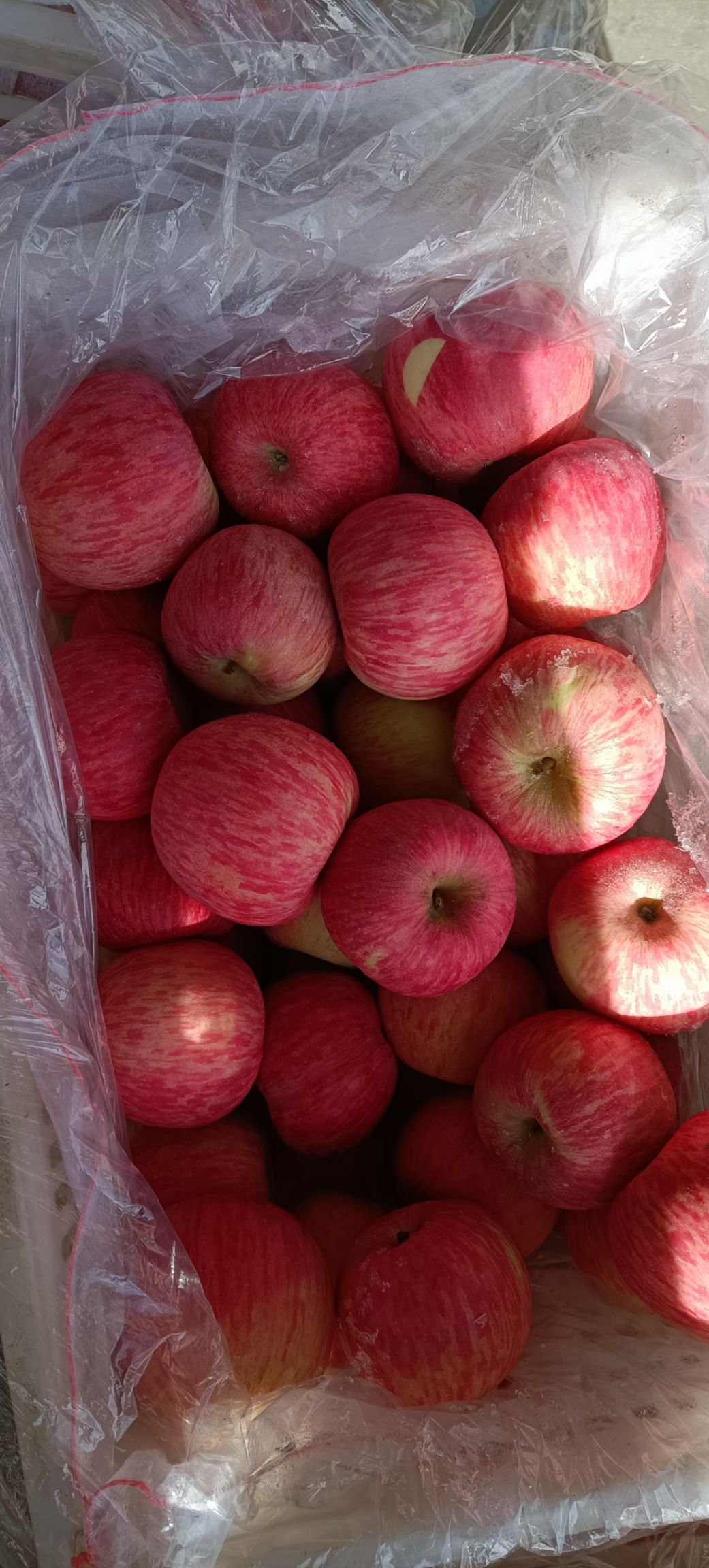 红富士苹果  山东富士苹果支持全国发货一件代发
