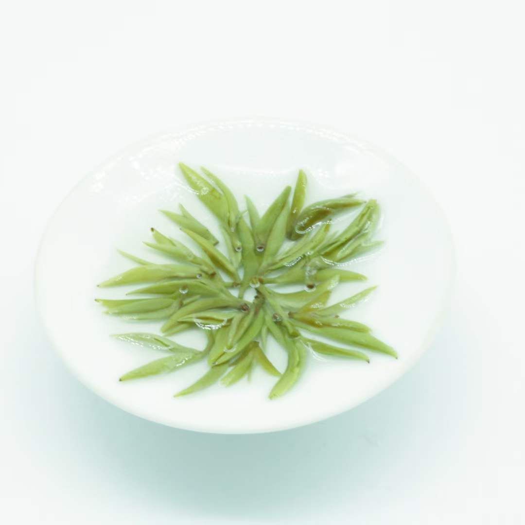 湄潭毛尖
