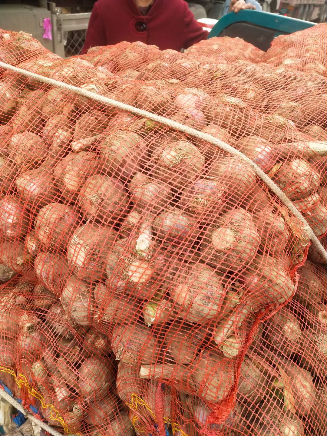 红皮蒜  紫皮鲜大蒜上市，质量好，个头均匀，货源充足，