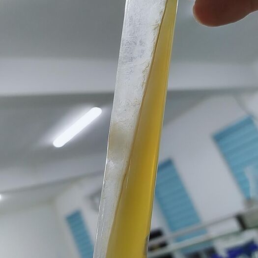曲周县草菇菌种 草菇试管种