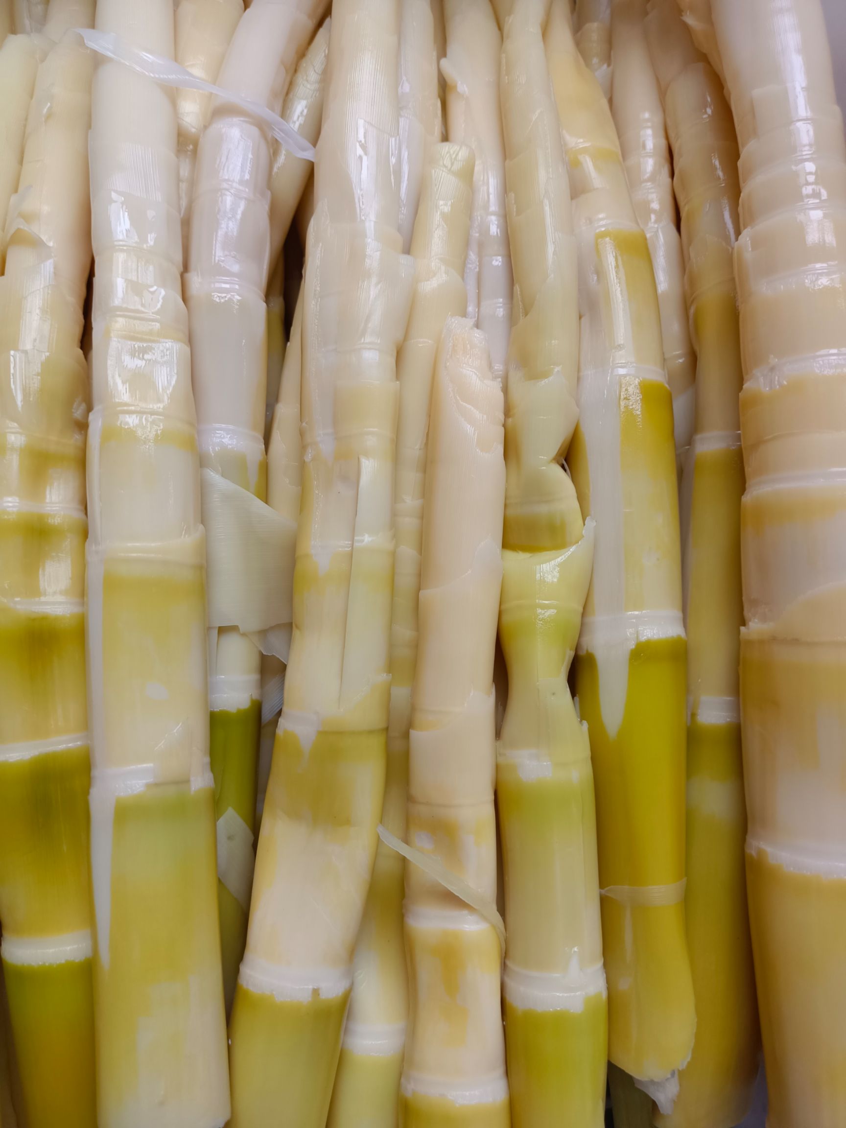 野生新鲜小竹笋 尖农家火锅笋片 江西清水笋片 罗汉笋欢迎批发