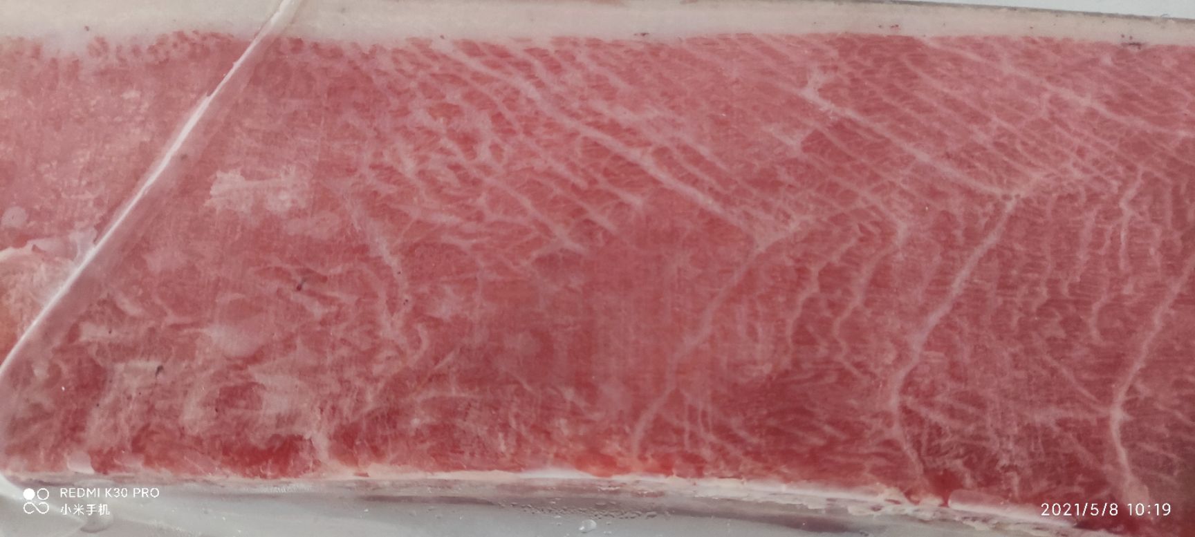 蓝鳍金枪鱼，鱼腩部位