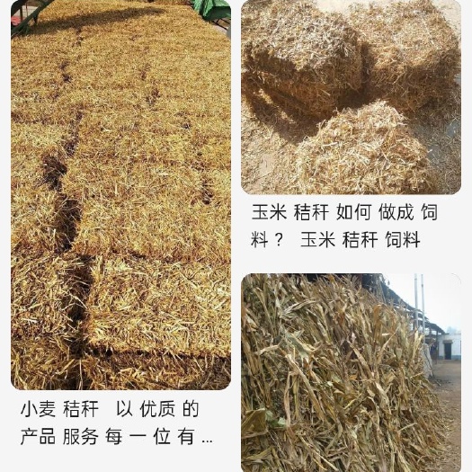 巨野县2021年小麦秸秆接受预定