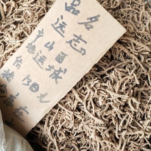 亳州远志 ，批发各种中药材，量大从优。