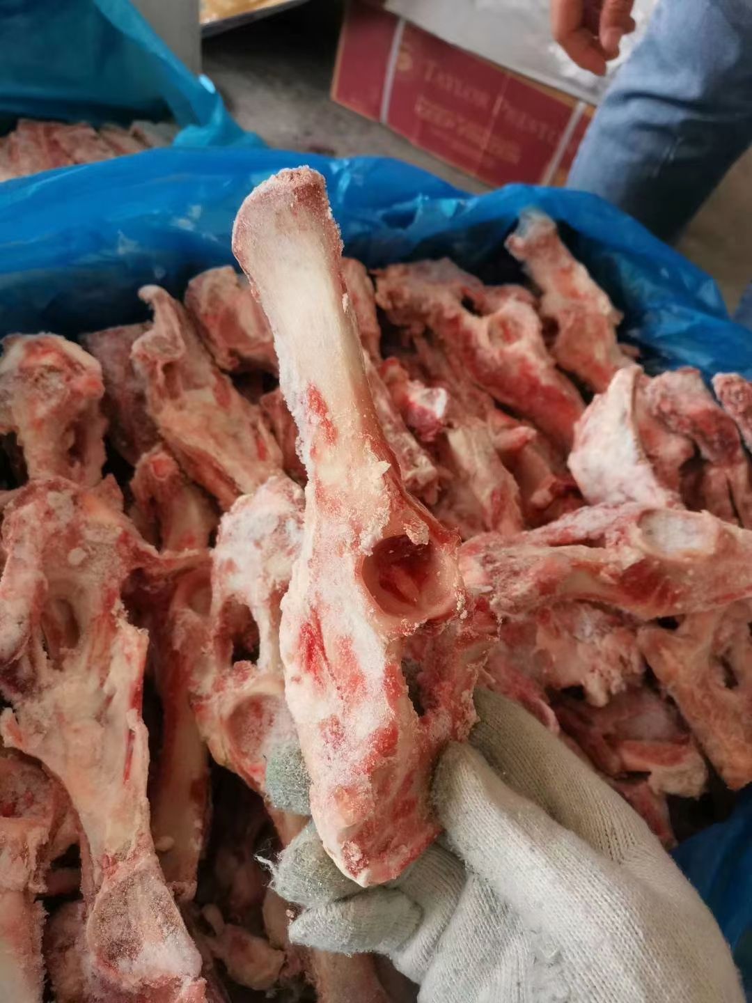 新鲜冷冻羊骨头羊坐骨羊胯骨20斤羊苏吉骨 非羊棒骨羊肉汤熬汤