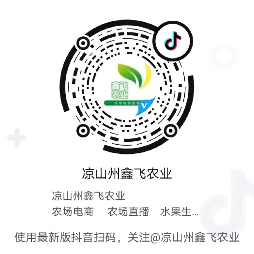 西昌市 大凉山土鸡蛋