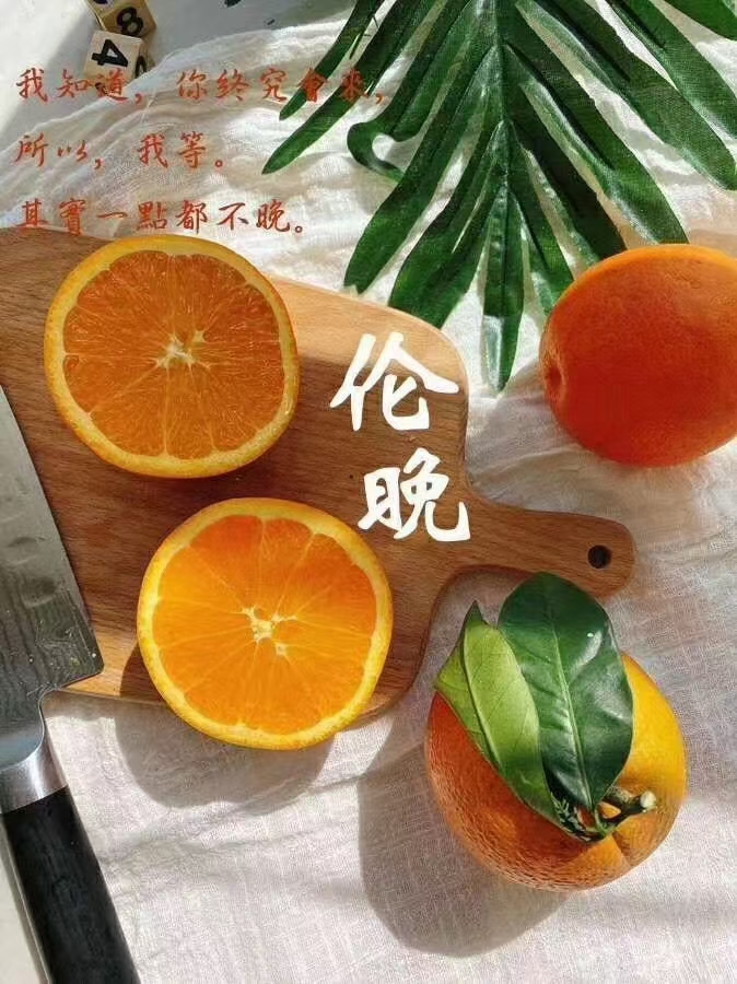 伦晚脐橙  扶贫秭归伦晚春橙现摘现发果园直达一件代发箱装包邮