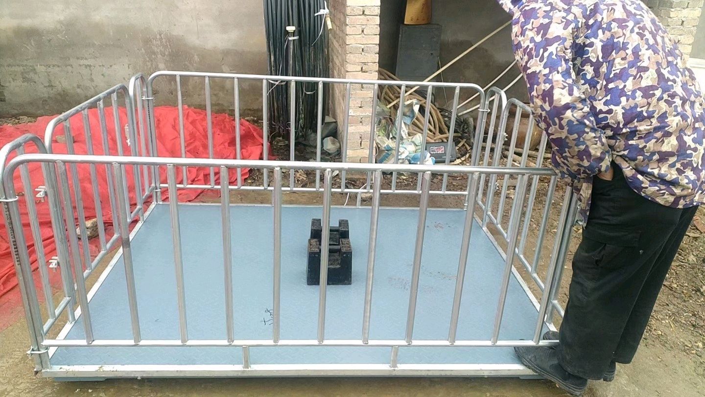  枣阳书院街水果市场北门路东，碧丰计量电子秤，专业提供电子秤地