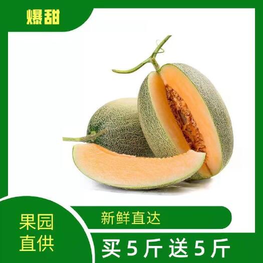乐东县海南西州蜜哈密瓜