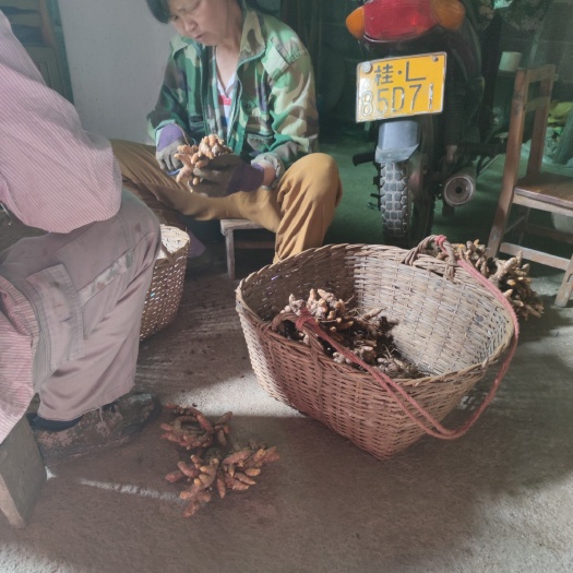 靖西市村里土货姜黄  广西农家本地姜黄 量大小都有源头种植户