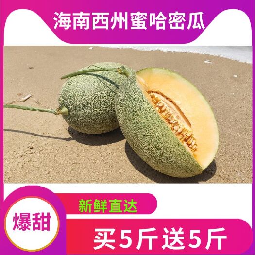 乐东县晓蜜25号  海南哈密瓜支持代发坏果包赔