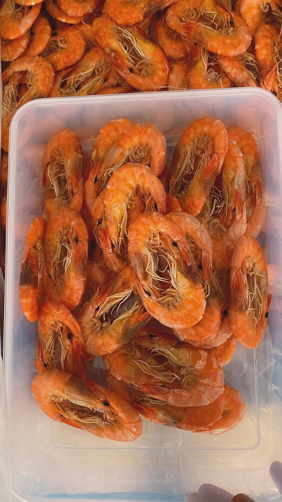 对虾烤虾干，人工插对，新加工的，干度好，个头均匀，薄利多销