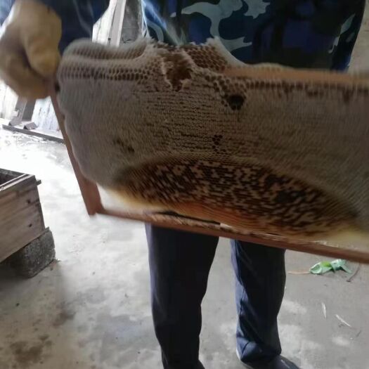 博白县 中华蜂蜜
