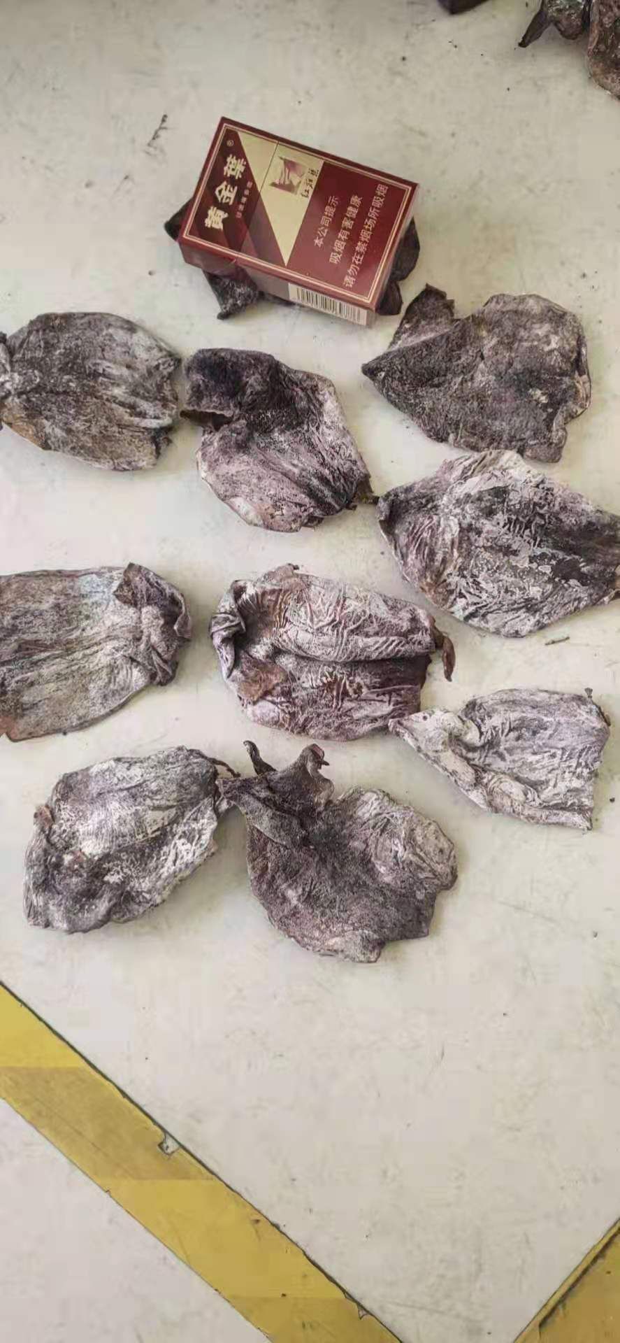 水发鱿鱼干，带头不带头两种，质量好