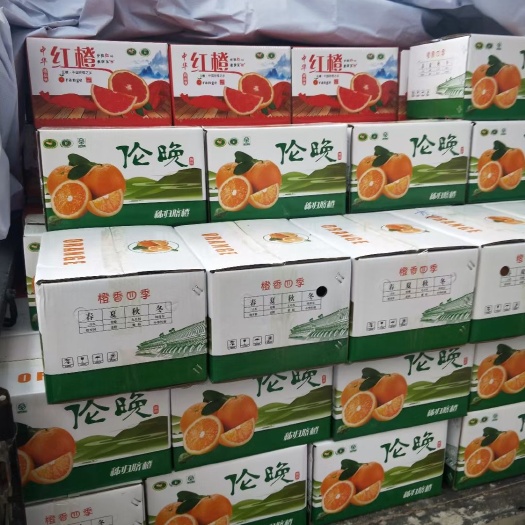 秭归县伦晚脐橙扶贫秭归伦晚自家果园电微商公司福利一件代发量大送剥橙