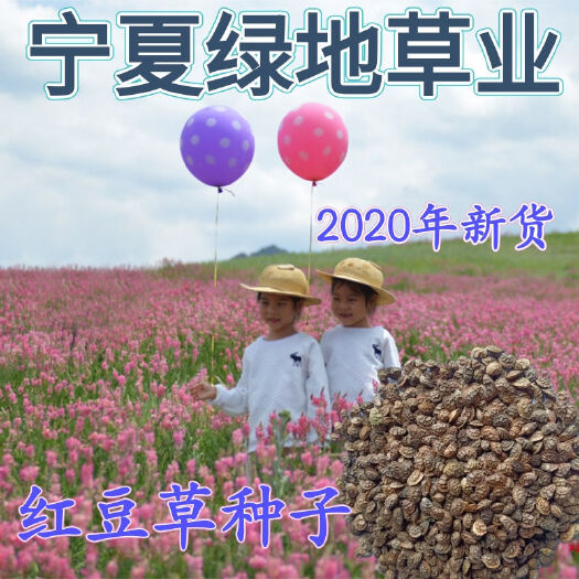 隆德县红豆草种子驴豆驴喜豆种子牧草饲草种子牛羊饲用草种子牧养草种