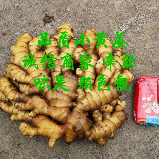 汝城县优质窖姜山地姜，上等小黄姜