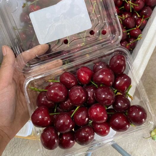 行唐县 特级美早樱桃，尝鲜装
